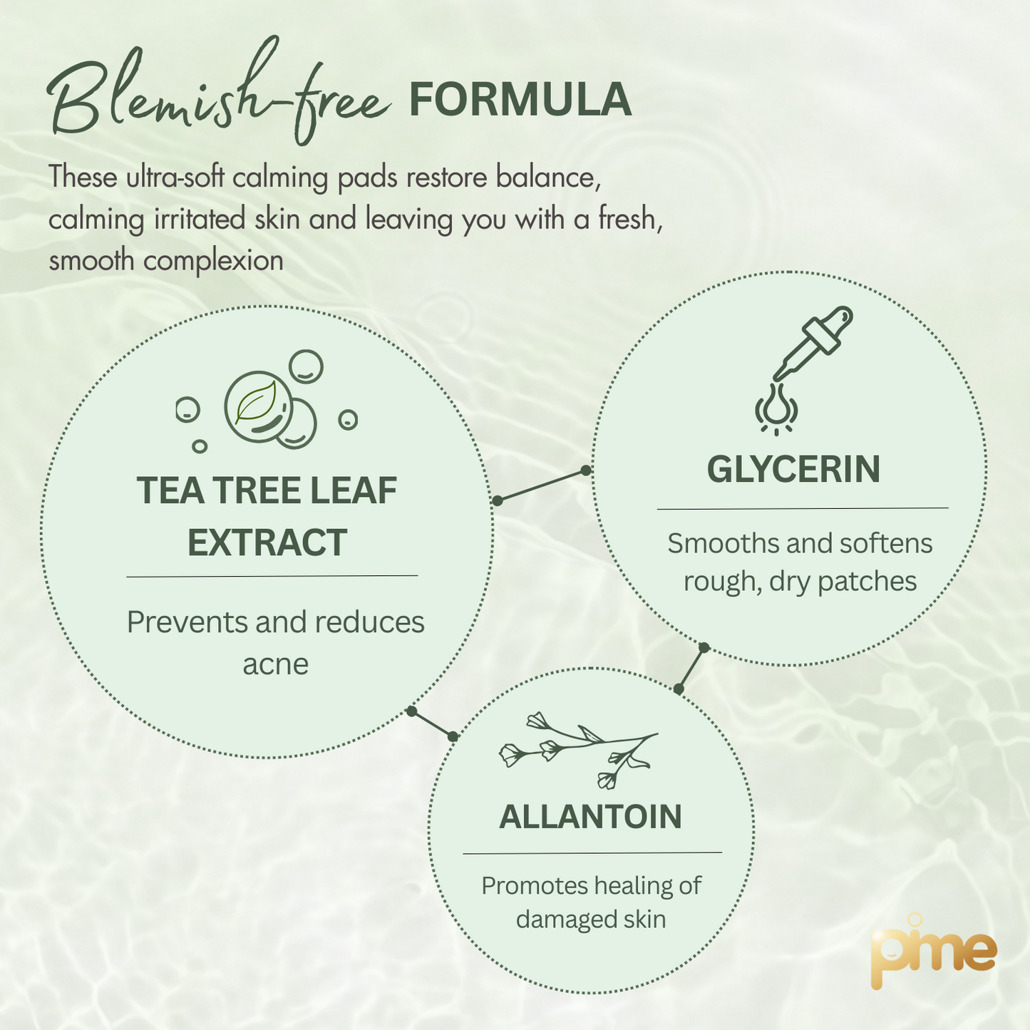 Tea Tree Toner Pads Soothing and Hydrating Toner