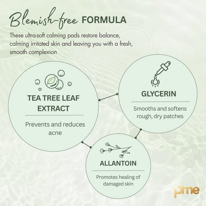 Tea Tree Toner Pads Soothing and Hydrating Toner