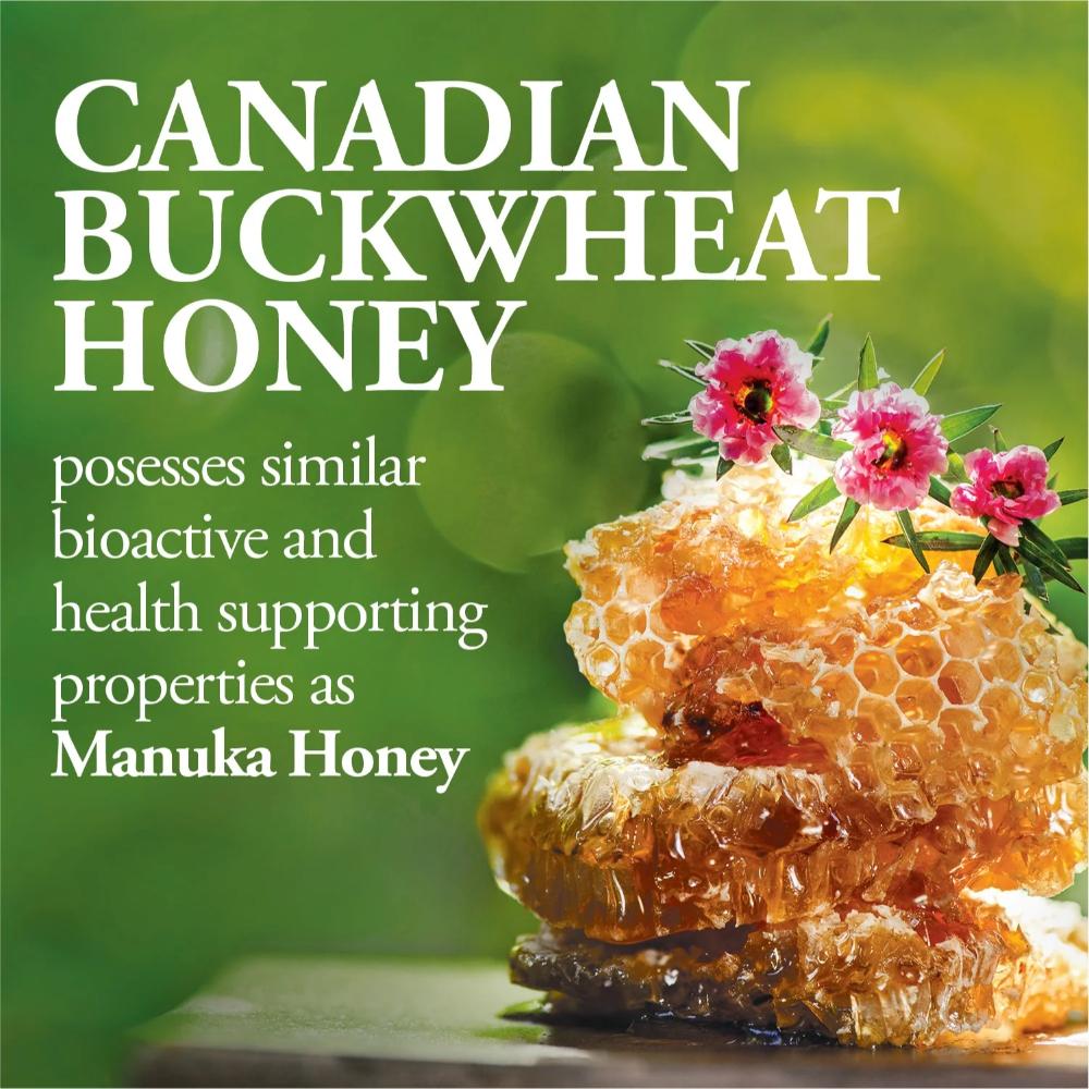 Buckwheat Honey 150g x2 – Deep Rich Flavor, Antioxidant-Rich Wellness Honey
