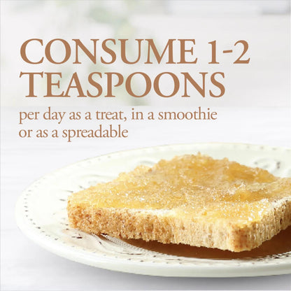 Dutchman’s Gold Blueberry Honey, 500g, Natural Sweetener & No Additives