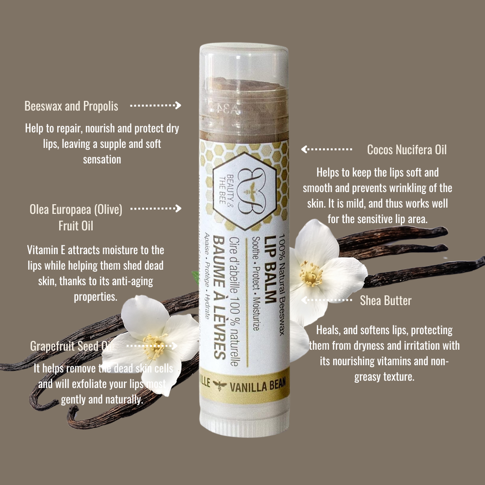 Oragnic Lip Balm Beeswax Vanilla Bean Hydrating Lip Treatment Balm