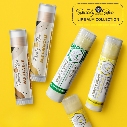 Organic Lip Balm Set Moisturizing Beeswax and Shea Butter
