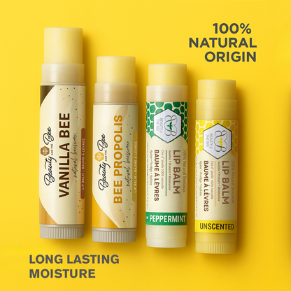 Organic Lip Balm Set Moisturizing Beeswax and Shea Butter