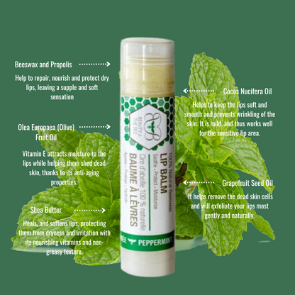 Organic Lip Balm Beeswax Peppermint Hydrating Lip Treatment