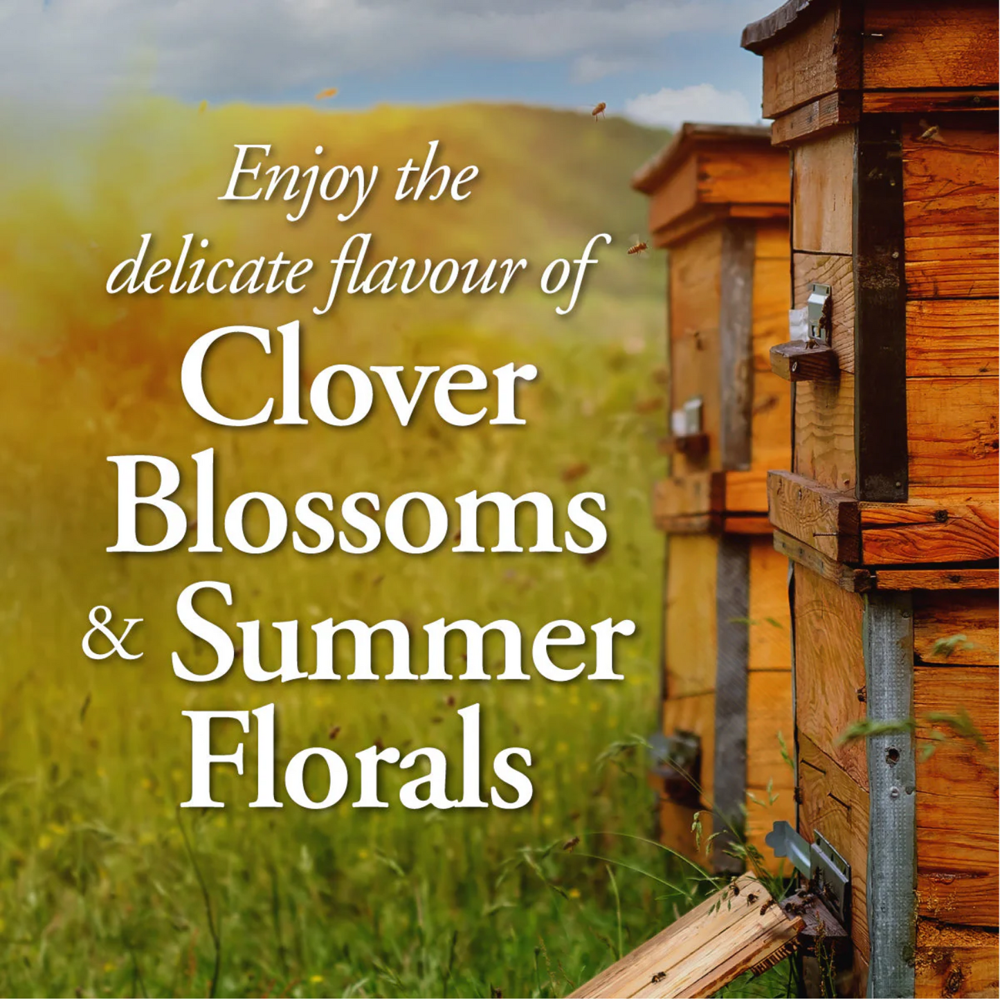 Dutchman’s Gold Summer Blossom Honey Bear 375g, 100% Pure Canadian Honey, Natural Sweetener