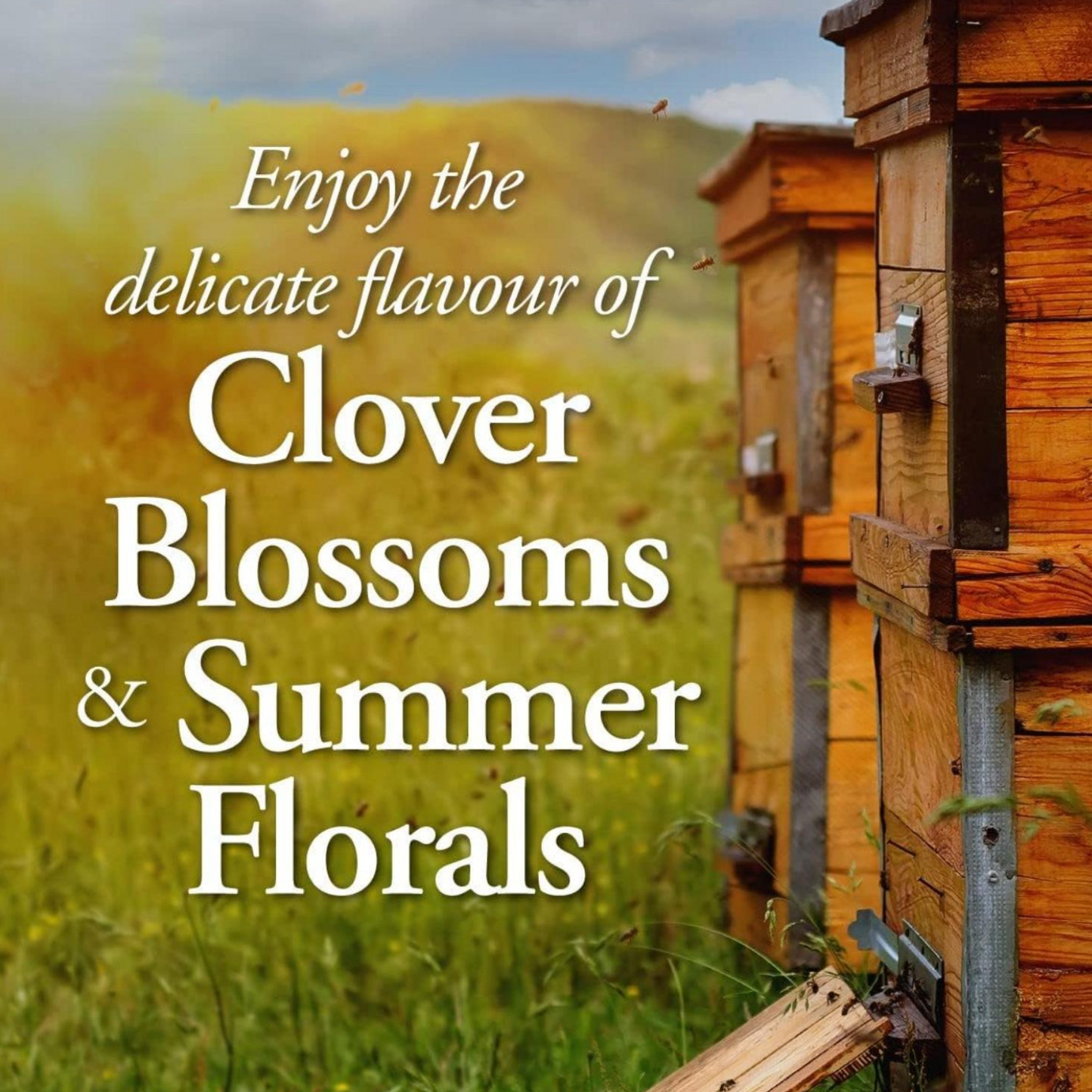 Summer Blossom Honey 500g – Pure Unpasteurized, Rich in Enzymes & Antioxidants