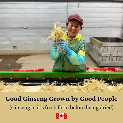 Canadian Vita Ginseng Powder 150g- 100% from Canada- Perfect for cooking, smoothies and tea's-Boost Immune System and Energy Support