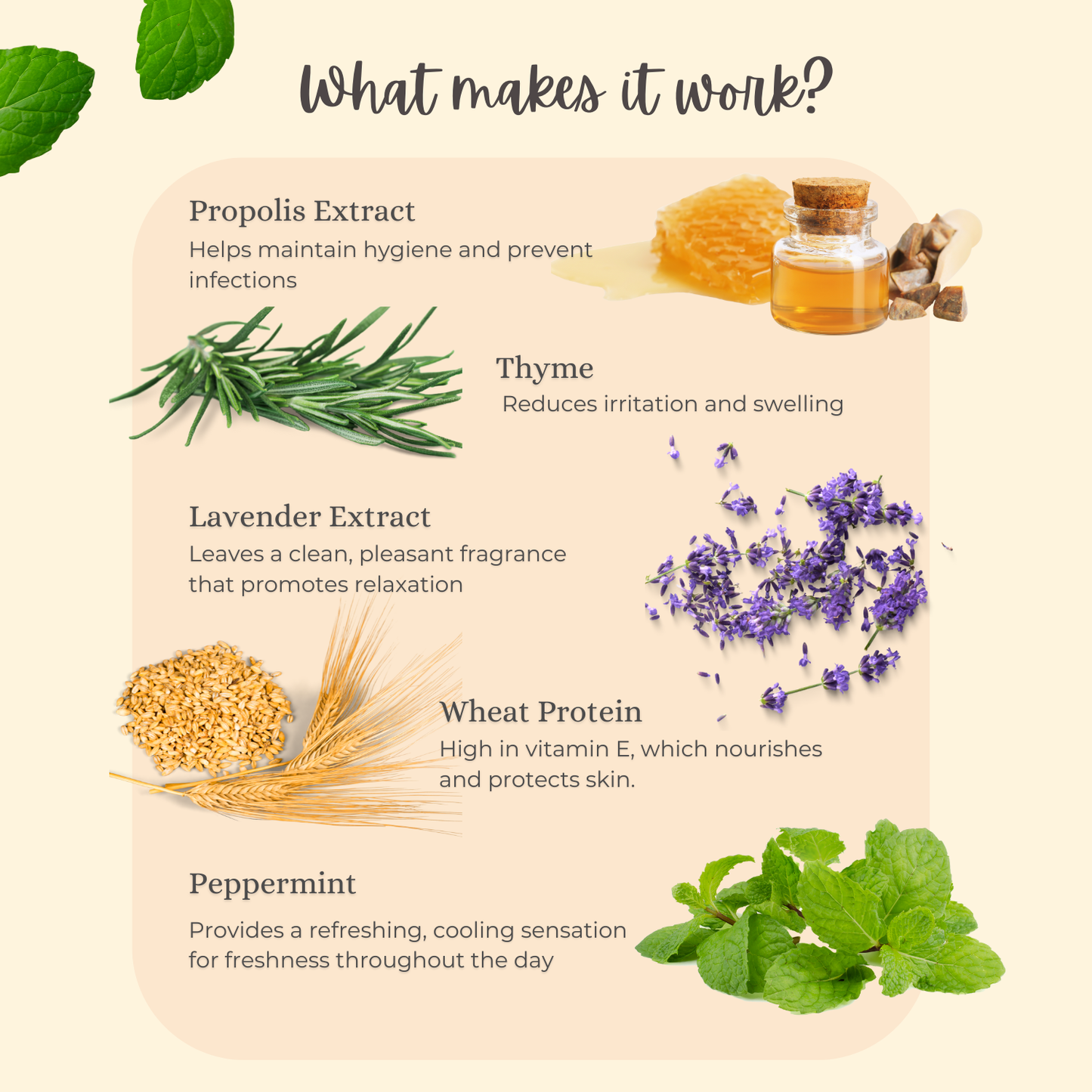 Intimate Wash with Propolis & Thyme Antibacterial Cleanser