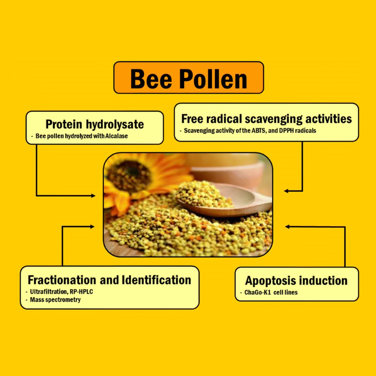 Dutchman’s Gold 100% Pure Canadian Bee Pollen Granules, 75g, Immune & Energy Booster