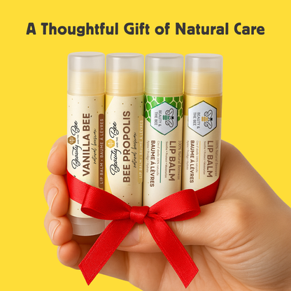 Organic Lip Balm Set Moisturizing Beeswax and Shea Butter