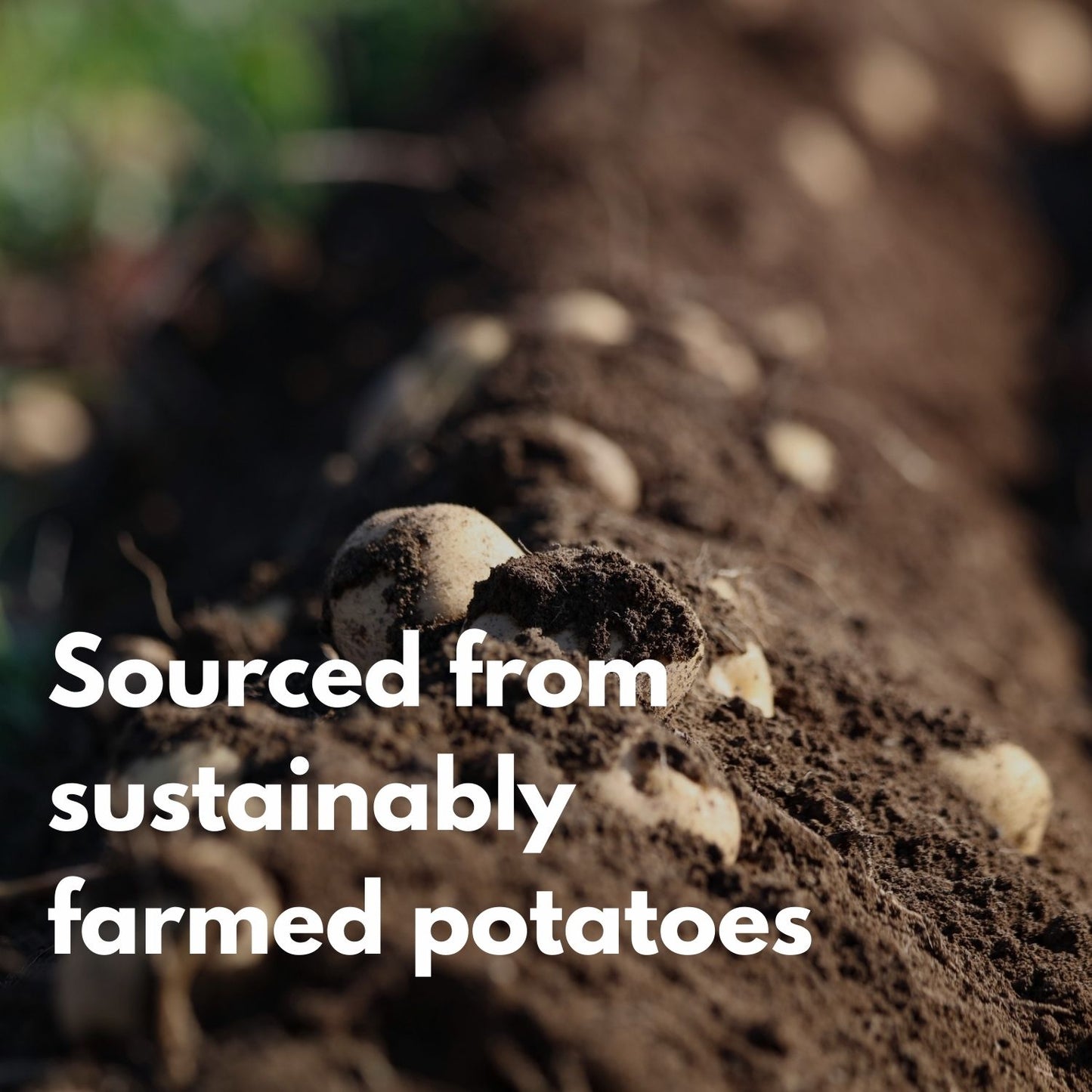 Engel Premium Mashed Potato with Skimmed Milk, 4kg | Creamy, Pure & Natural Potatoes, Halal, Vegetarian, Rich in Protein | Ready in Minutes, Side Dish & Emergency Food Supply