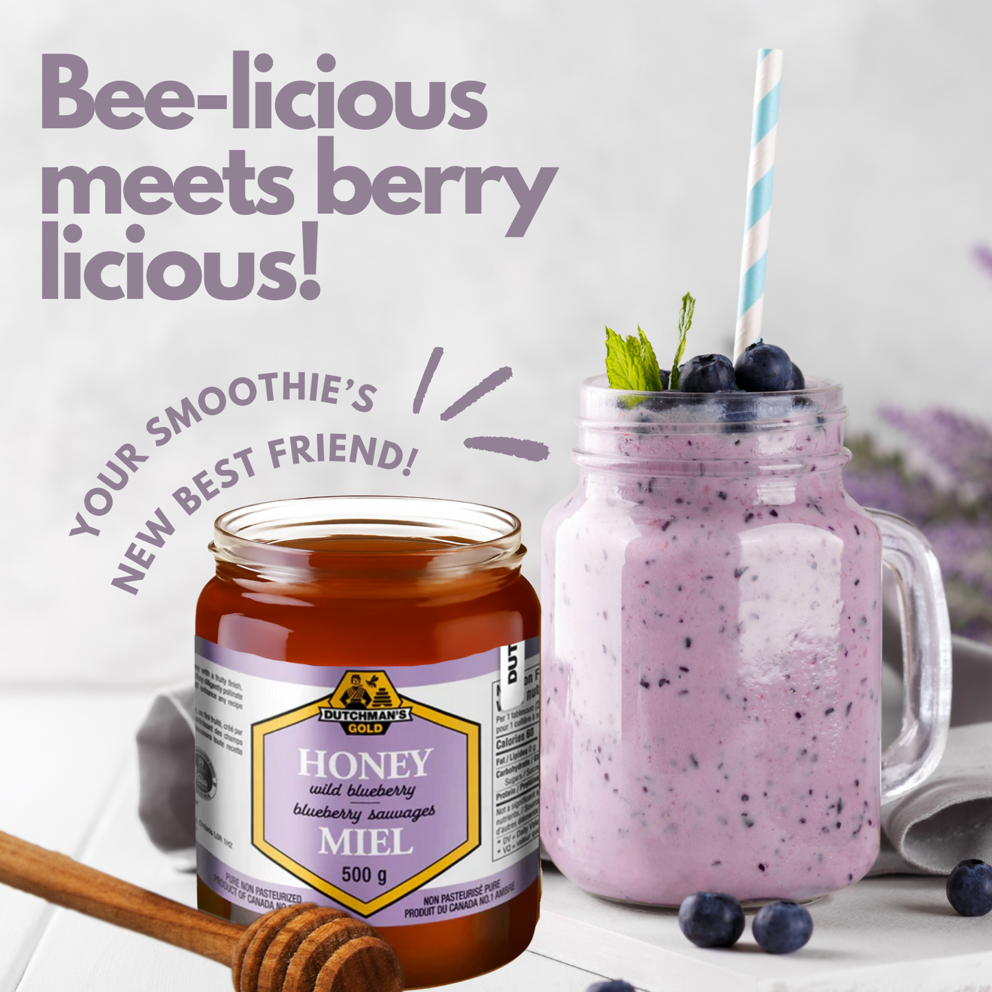 Dutchman’s Gold Blueberry Honey, 500g, Natural Sweetener & No Additives