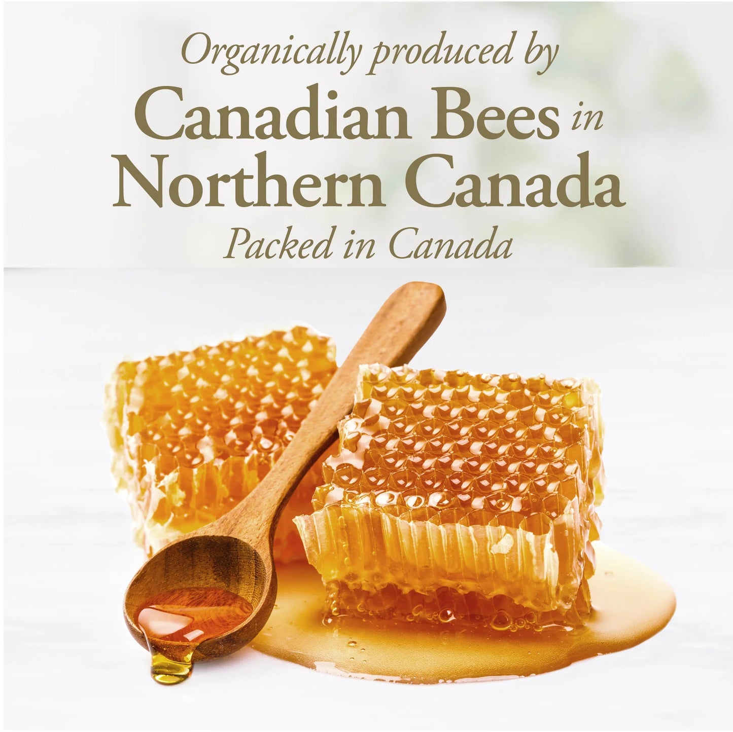 Organic Raw Honey 330g – 100% Pure & Unfiltered Creamy Honey, No Additives