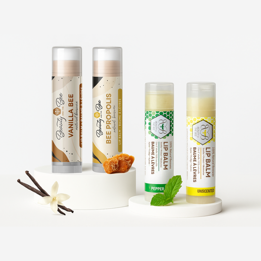 Organic Lip Balm Set Moisturizing Beeswax and Shea Butter